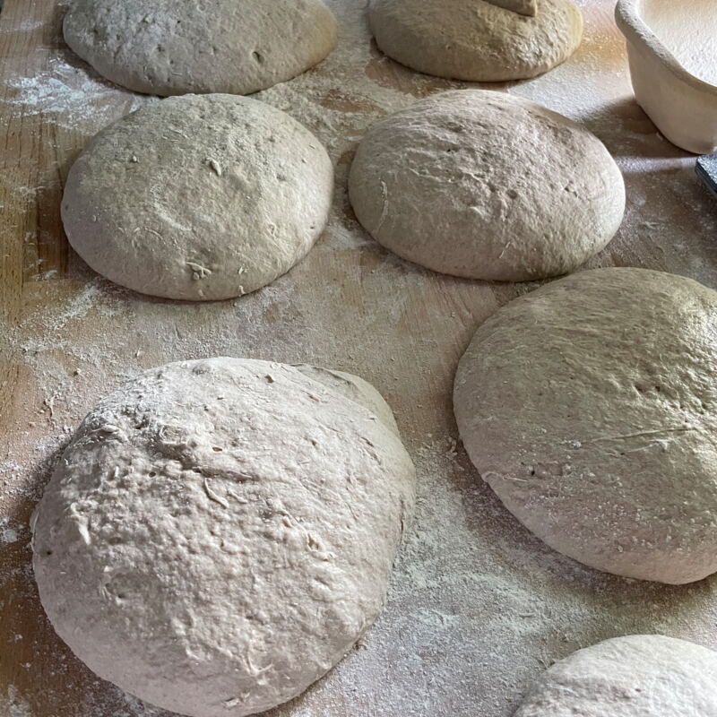 Laibe nach dem Portionieren ©mf