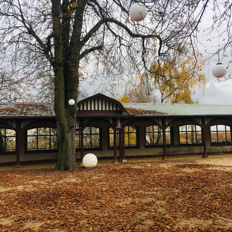 Aus Herbst wird langsam Winter ©cw