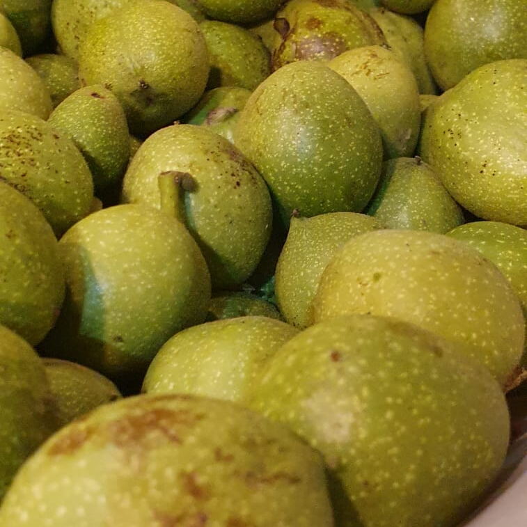 Die unreifen Walnüsse