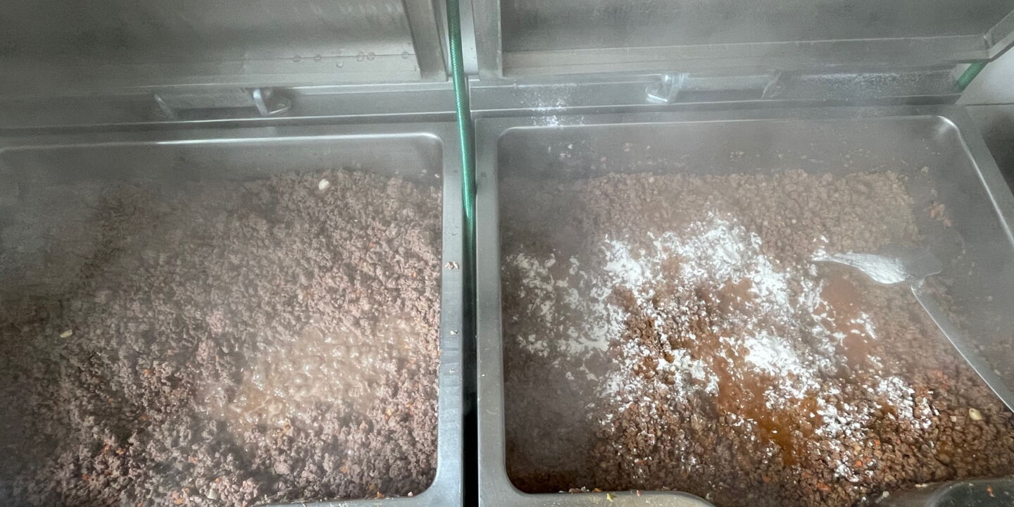 Bild 7: Mehliertes Wildschwein ©mf