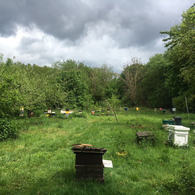 Dunkle Wolken über dem Garten in Obertshausen ©cw