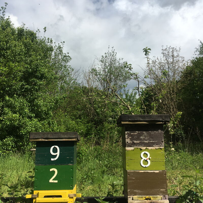 Zahlen zur Orientierung ©cw