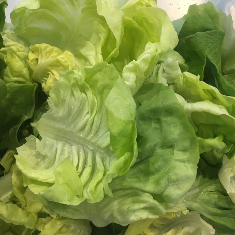 Knackiger Salat ©cw