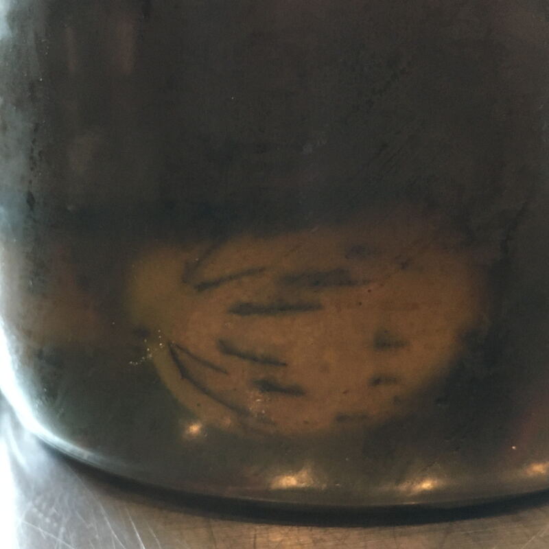 Walnuss im Einmachglas