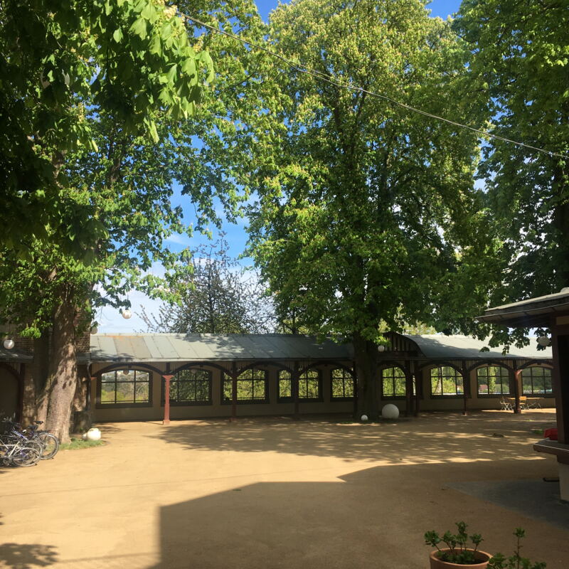 Der Garten im Mai (Blick aus der Küche) ©cw