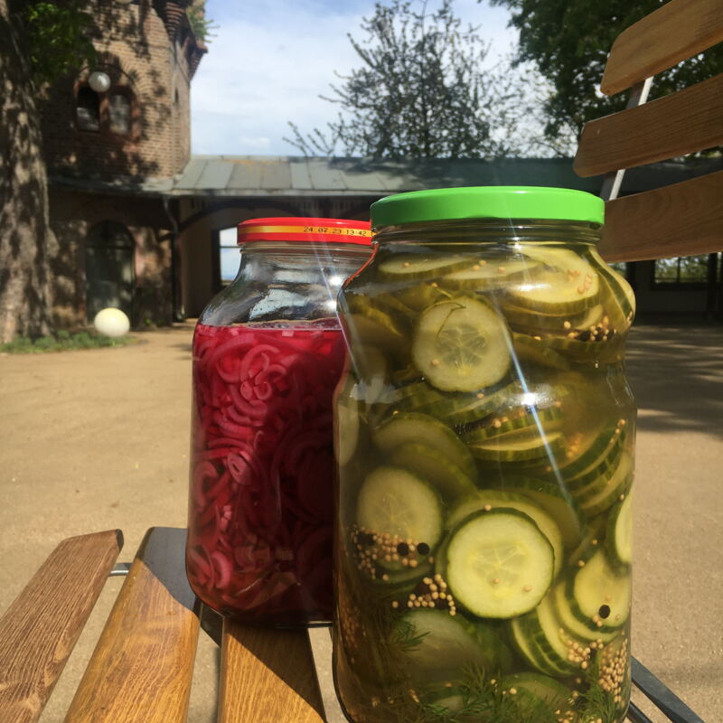 Eingelegte Gurken & Zwiebeln ©cw