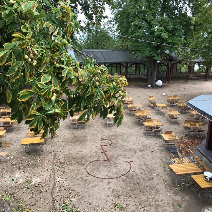 Das Bornheimer Ratskeller Logo von oben