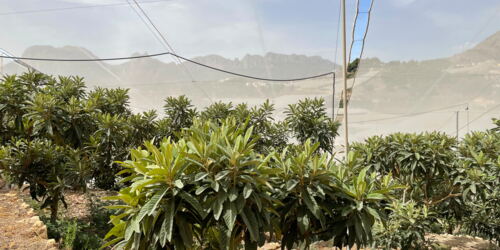 Windundurchlässige Plane zur Wassereinsparung