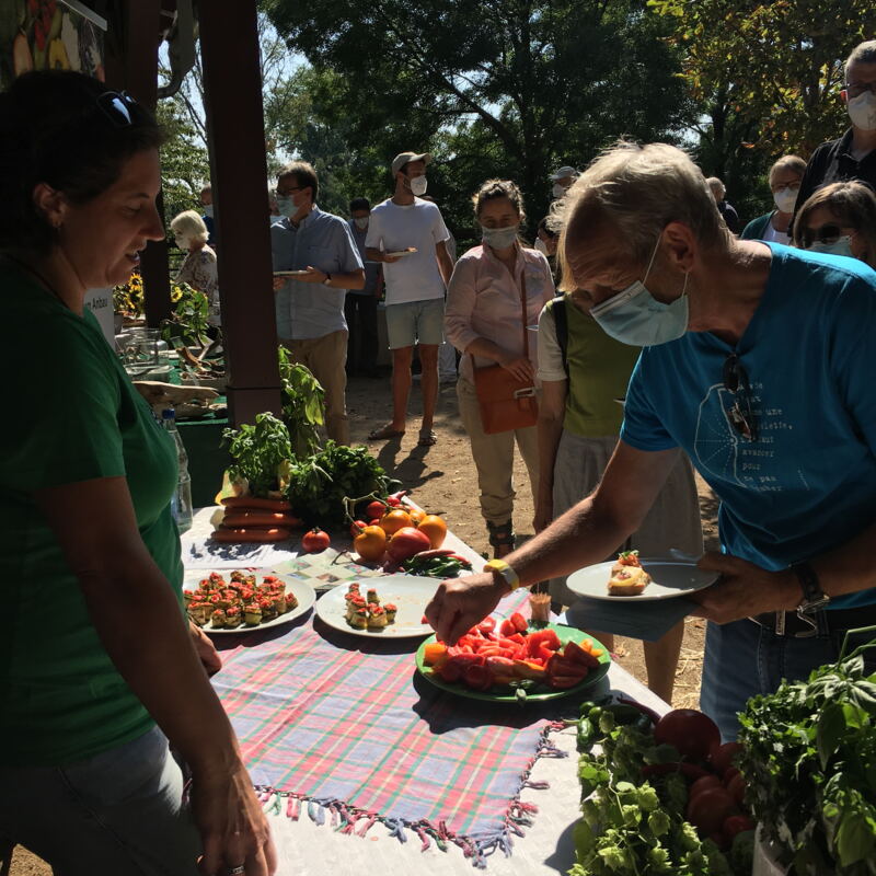 Sonnengereifte Tomaten von Ackerlei ©cw