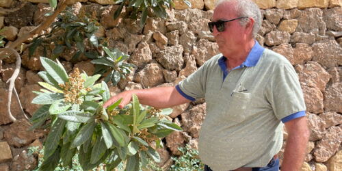 Estebán, verantwortlicher Agraringenieur der Firma Ruchey