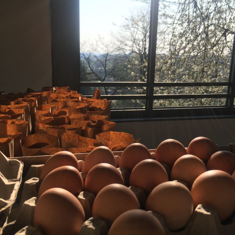 Eier und Kartoffeln für Gründonnerstag