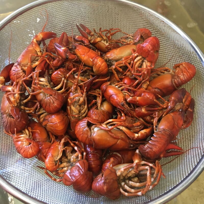 Gekochte Flusskrebse aus Wetterfeld ©cw