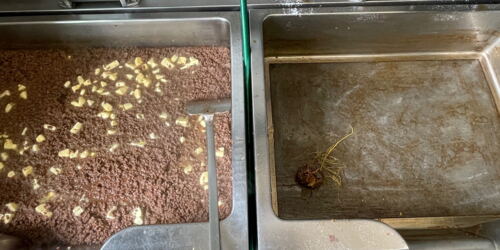 Bild 18: Butter bei die Rehe ©mf