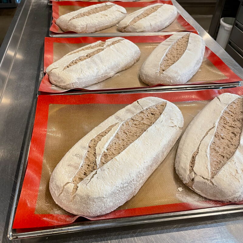 Laibe beim Gehen ©mf