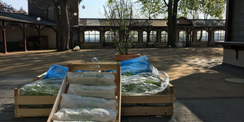 Lieferung aus Eschersheim ©cw