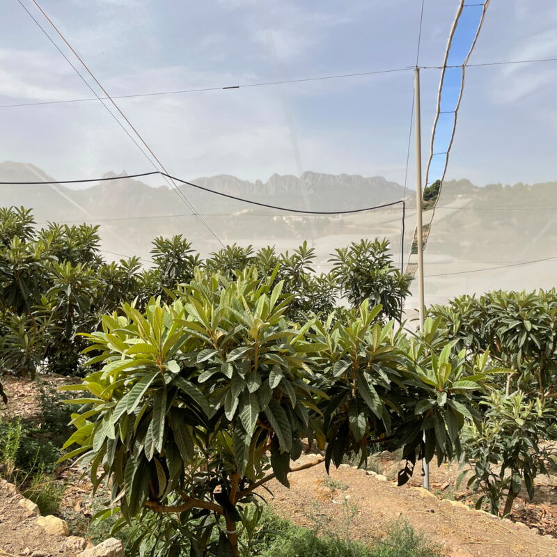 Windundurchlässige Plane zur Wassereinsparung