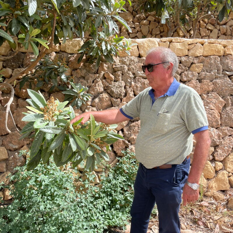 Estebán, verantwortlicher Agraringenieur der Firma Ruchey