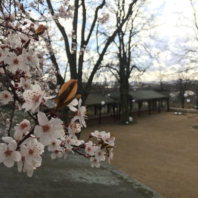 Frühjahr ©lauraperrot