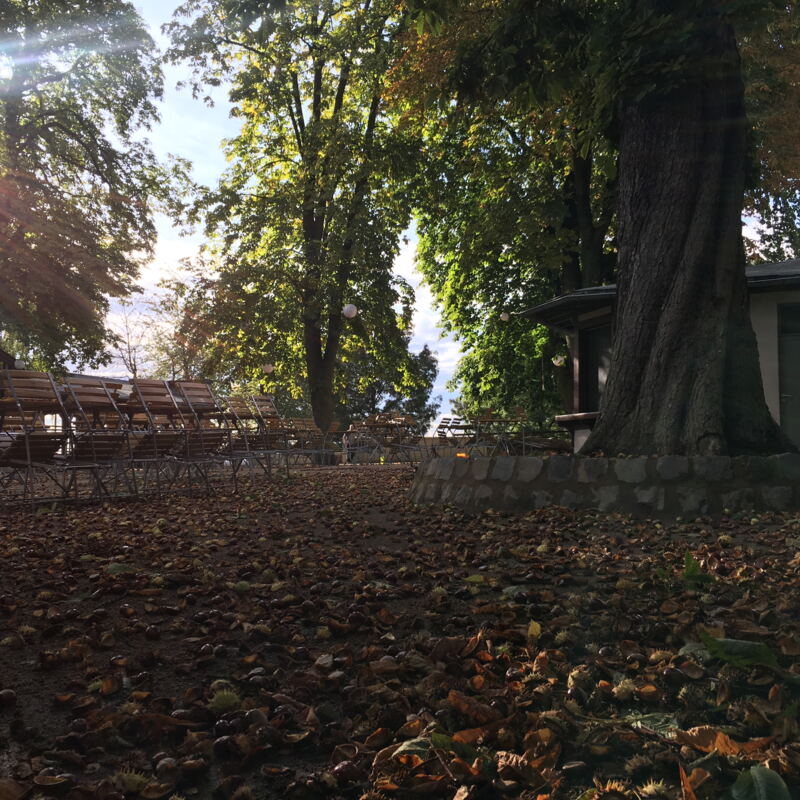 Bestes Wetter für die jährliche Kastanien-Sammelaktion mit/für Kinder ©cw