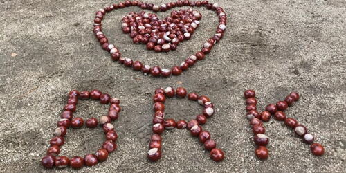 Kastanien im Bornheimer Ratskeller