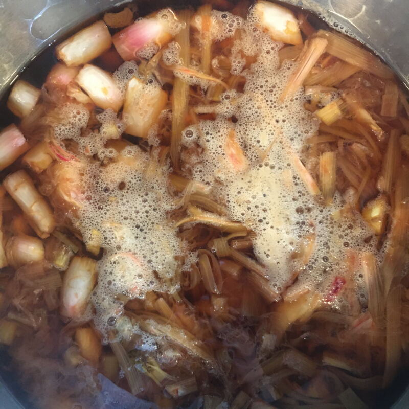 Rhabarber für den Nachtisch ©cw