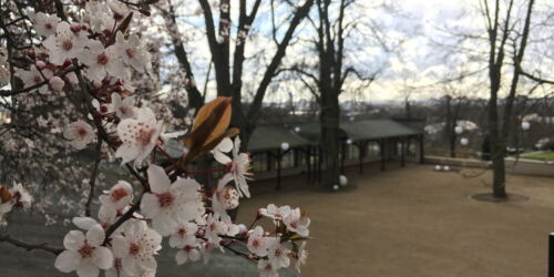 Frühjahr ©lauraperrot