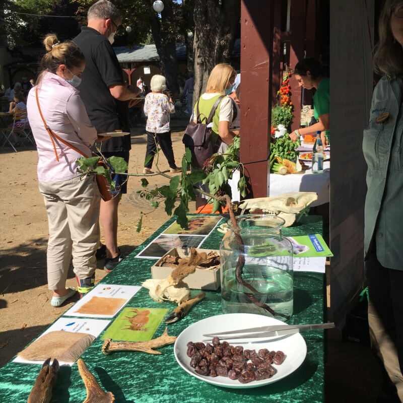 Pfefferbeißer am Stand des Forstamtes Langen ©cw