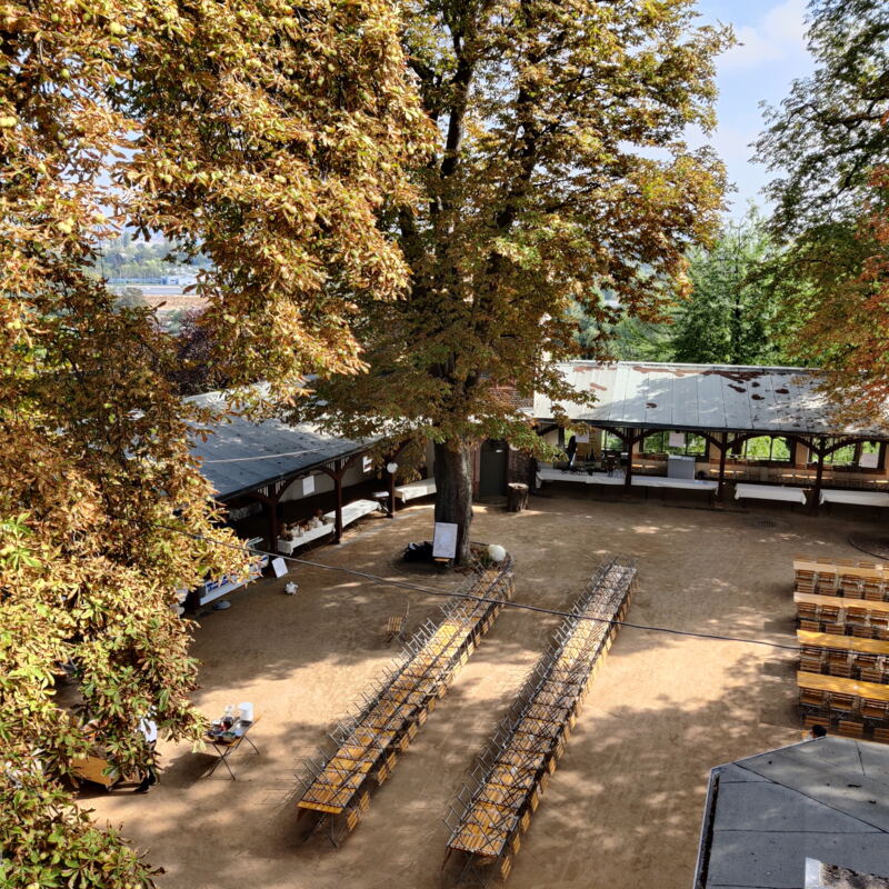 Blick auf den (noch leeren) Garten