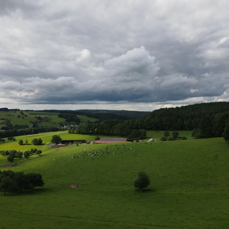 Lindenhof im Odenwald ©seip