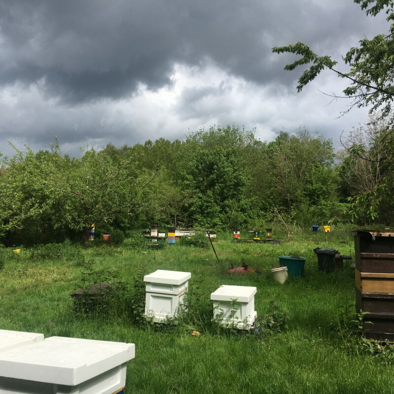 Dunkle Wolken über dem Garten in Obertshausen ©cw